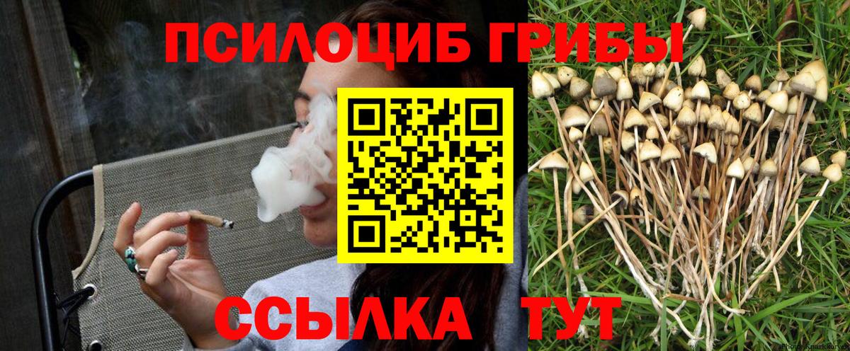 Галлюциногенные грибы Psilocybine cubensis  Вход с VPN  Галлюциногенные грибы мицелий  цены наркотик  Зеленодольск 